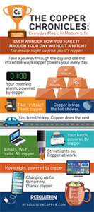 The Copper Chronicles Infographic-1 Image